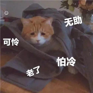 ΢ͼƬ_20210114154020.jpg