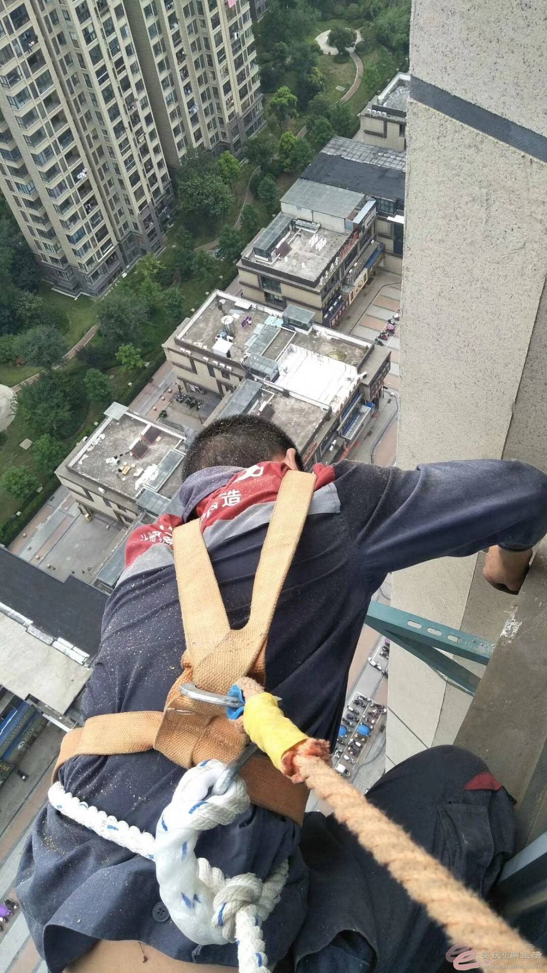1615336597635774.jpeg