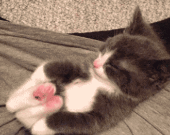 ug0457a3.gif