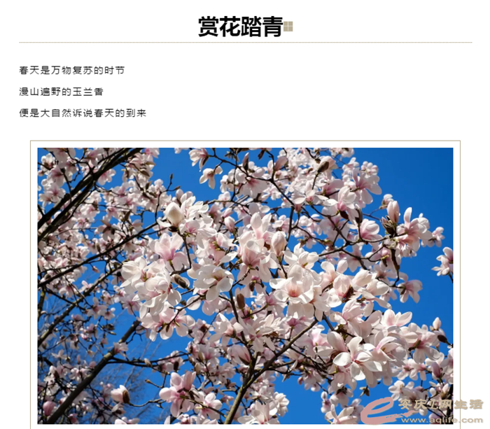 ΢Žͼ_20210318171033.png