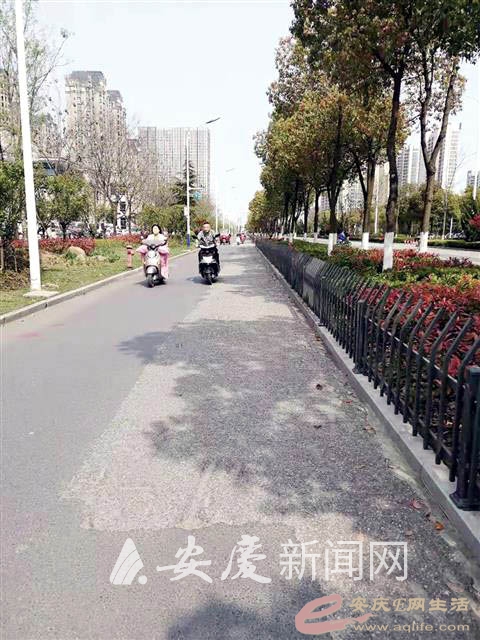 0943423047244358_new.jpg