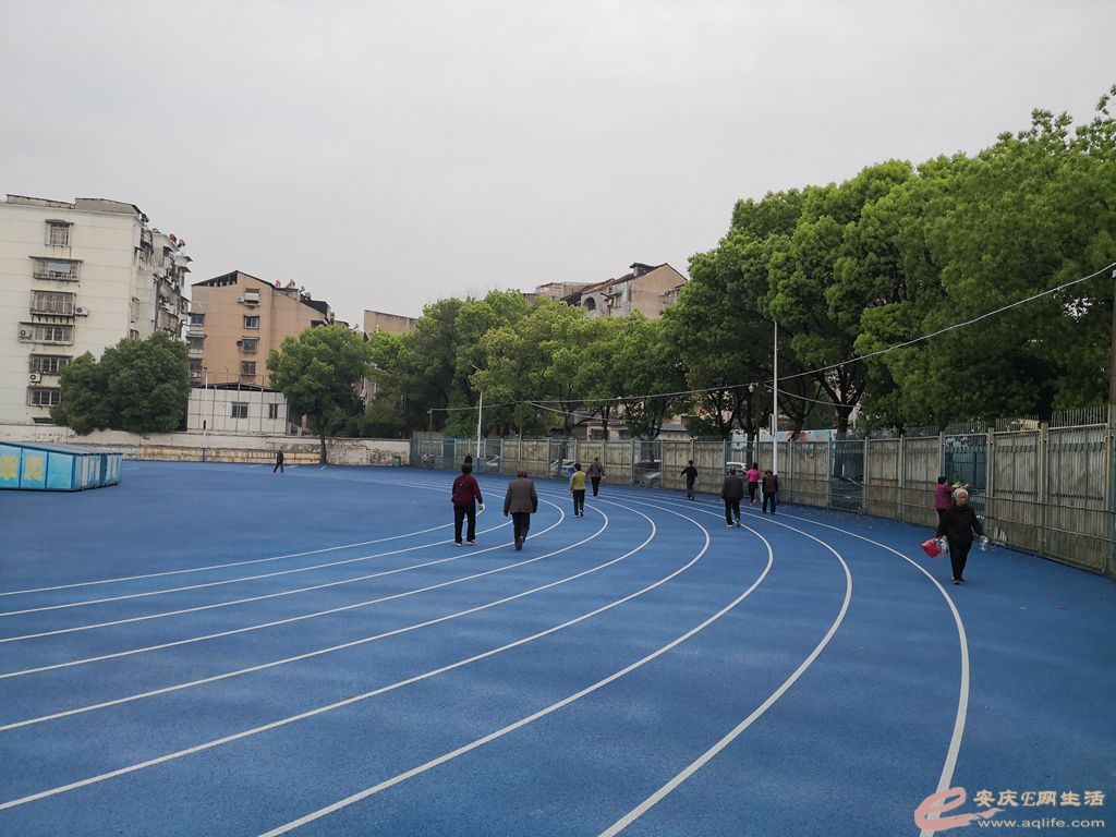 IMG_20210415_065954_.jpg