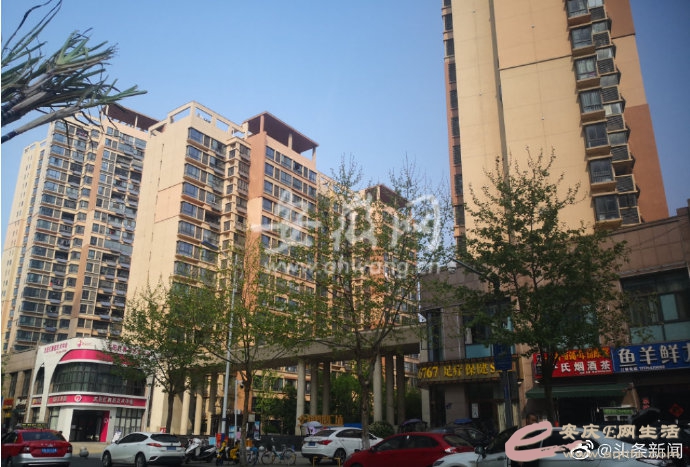 001Lvb9uly8gplcyez402j60sy0jlb2902.jpg