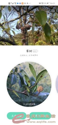 Screenshot_20210417_080956_cn.danatech.xingseapp.jpg