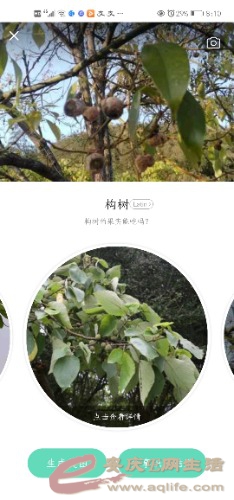 Screenshot_20210417_081017_cn.danatech.xingseapp.jpg