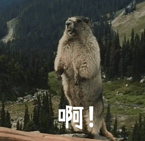 src=http://p1.pstatp.com/large/pgc-image/2f78d31489b2490e917ccb0eb8025be9&amp;refe.gif