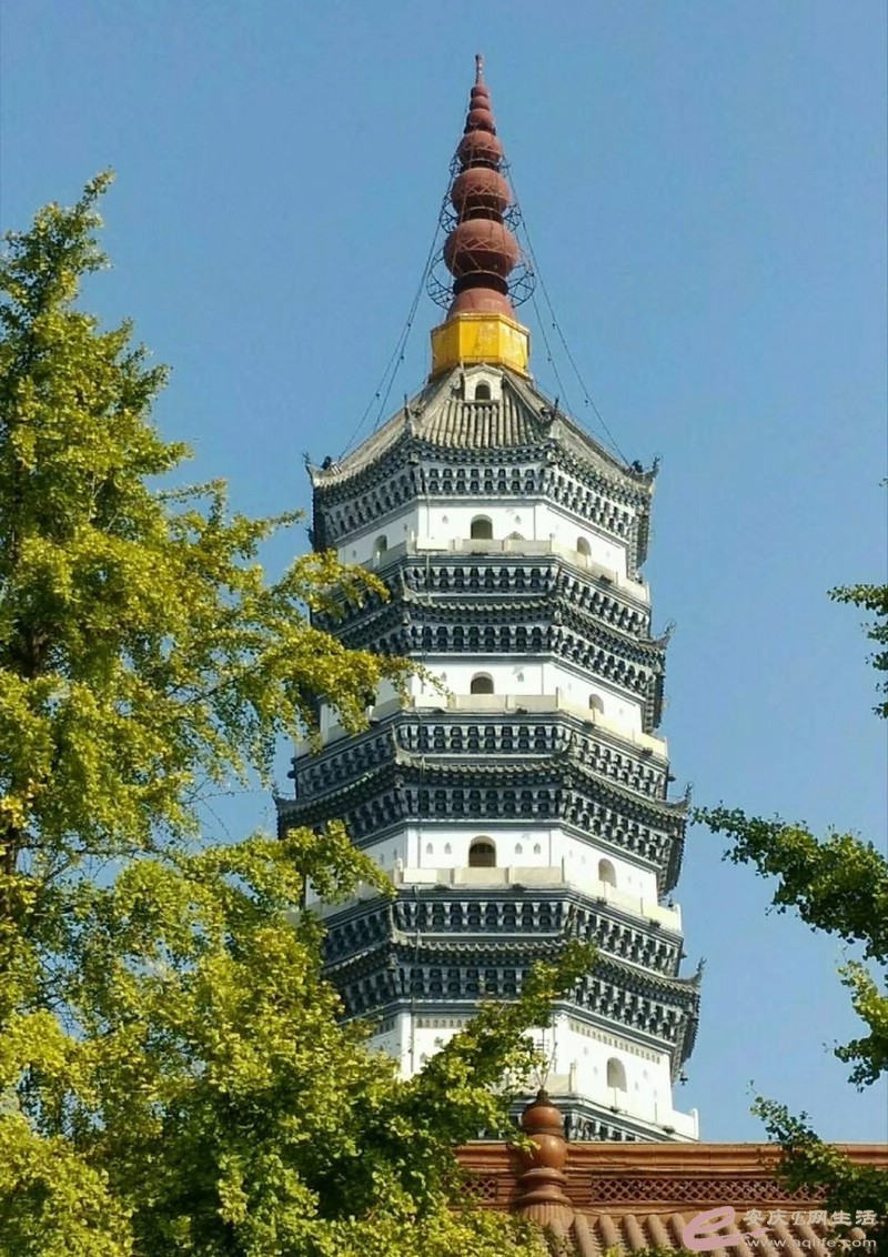 ZFT (0).jpg