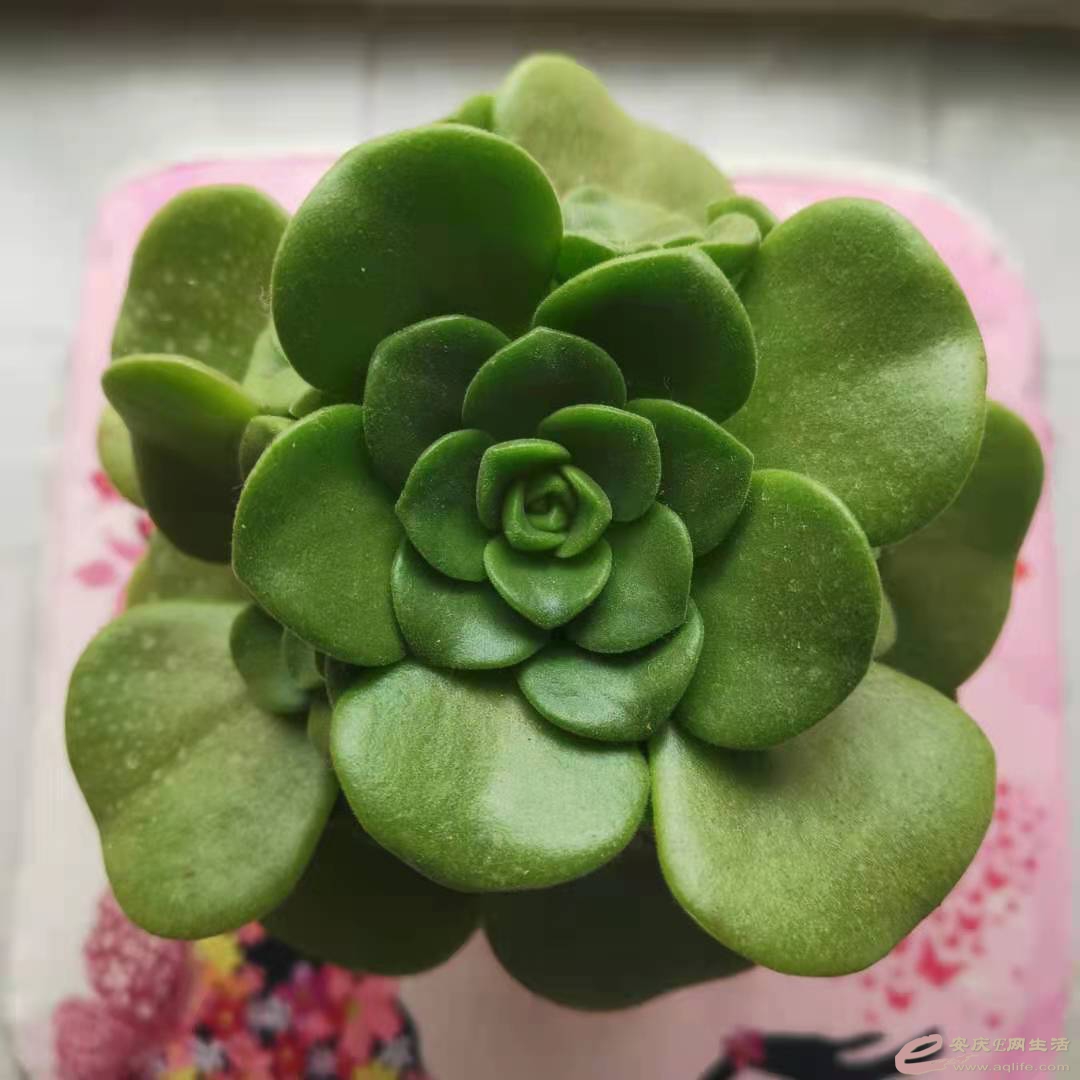΢ͼƬ_20210519092758.jpg