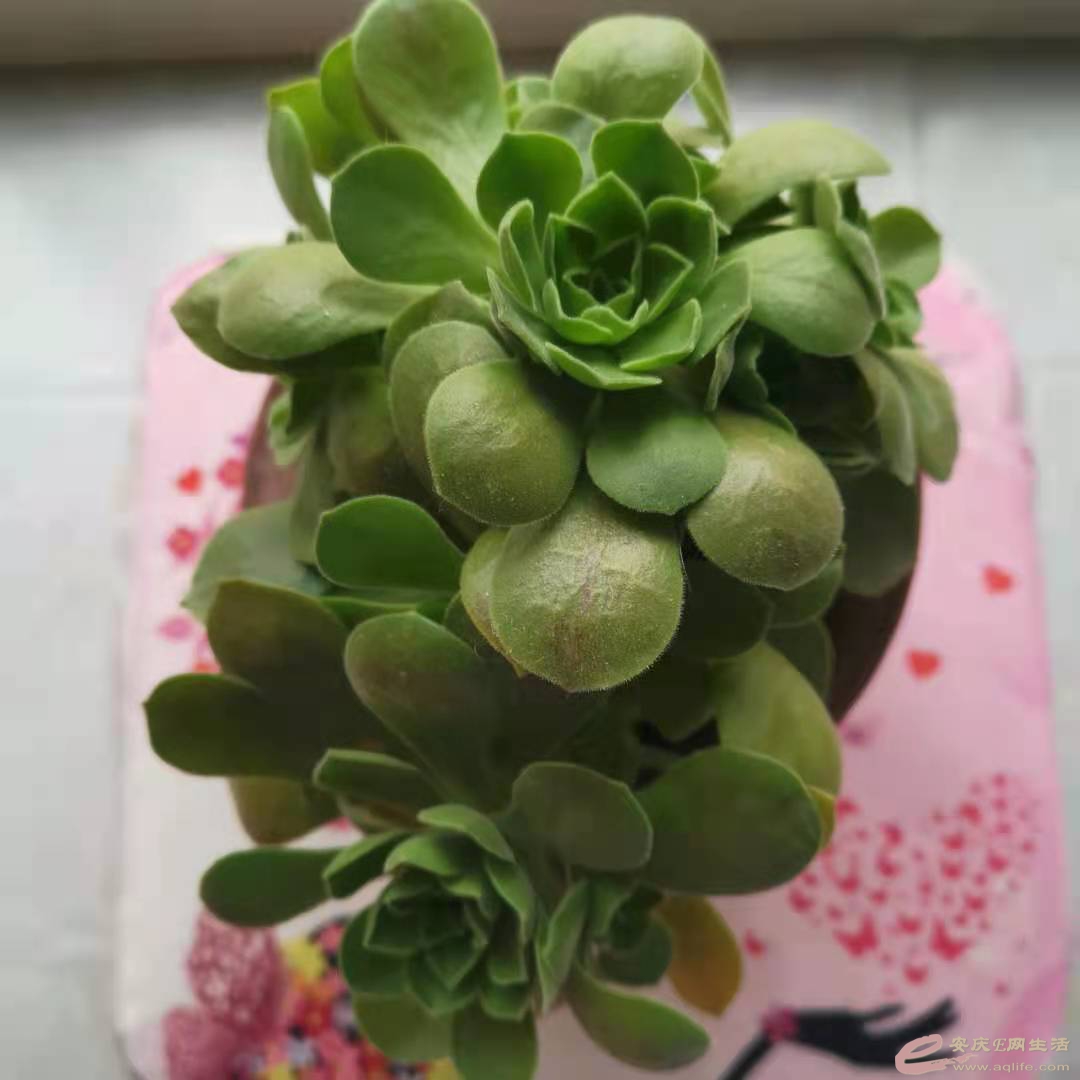 ΢ͼƬ_20210519092814.jpg