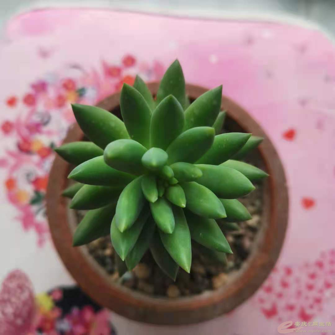 ΢ͼƬ_20210519092828.jpg