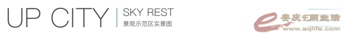 6.webp.jpg