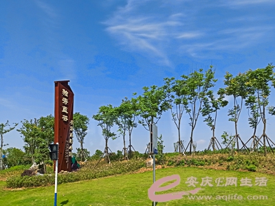 cda7434c83cacacee9ee421b3397e16.jpg
