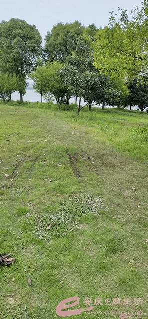 201903uczrlhwnvxnzkqc0.jpg
