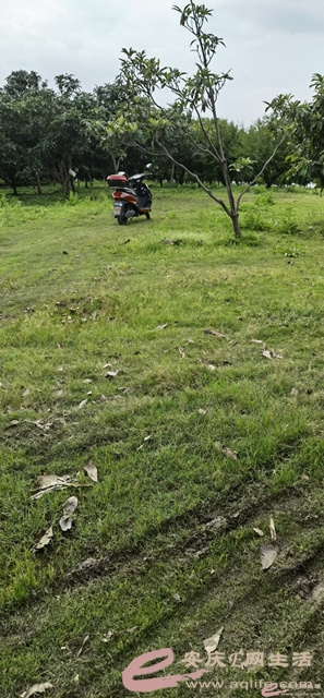 201817tpx66u553p30d6px.jpg