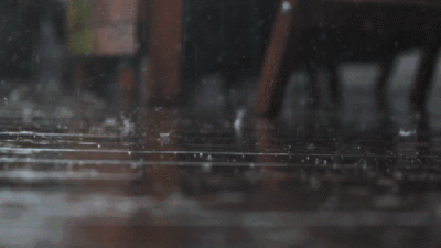 ug0ef99a.gif