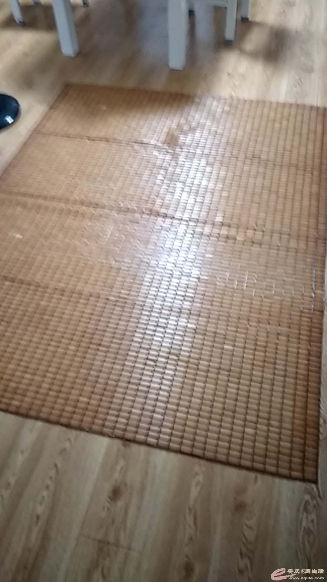 1623833476054228.jpeg