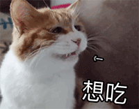31c08ff51d760250c39780443956a869.gif
