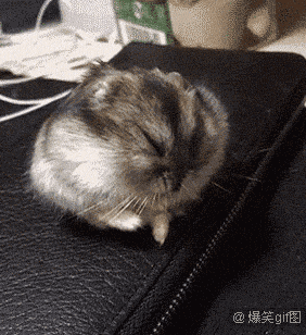 ug09ec68.gif