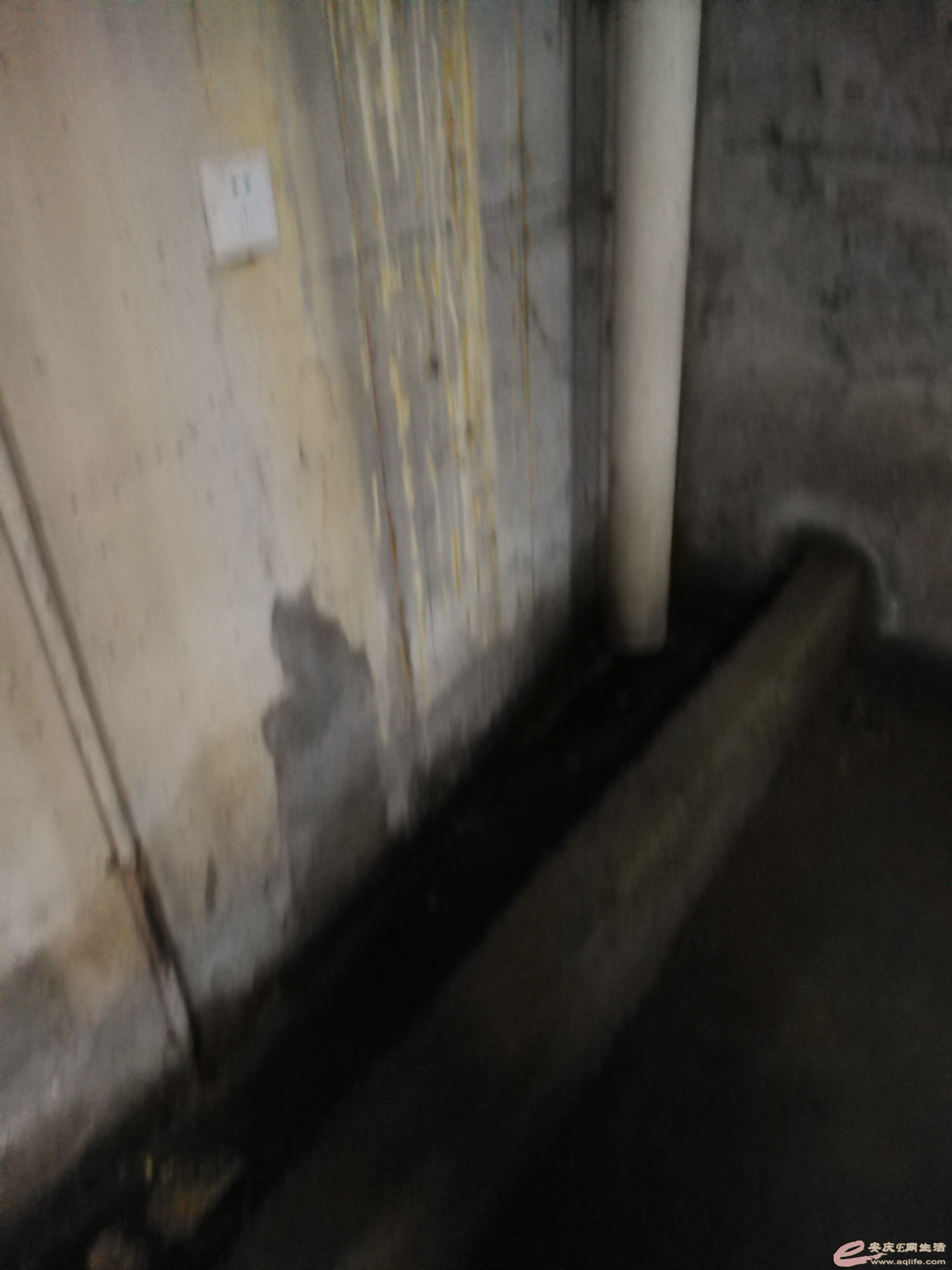 1624945353792427.jpeg