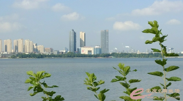20201008B.jpg