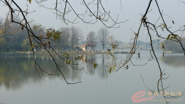20201228C.jpg