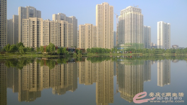 P10521-071356.jpg