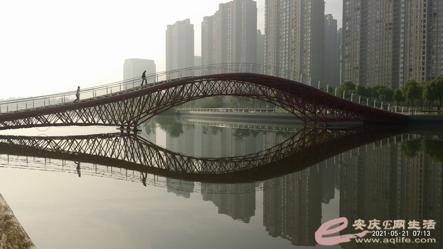 P10521-071335.jpg