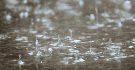 src=http___qxcms.cbg.cn_qj_upload_Image_mrtp_2018_06_13_1_55da744a3a9b4a89bf8e36.gif