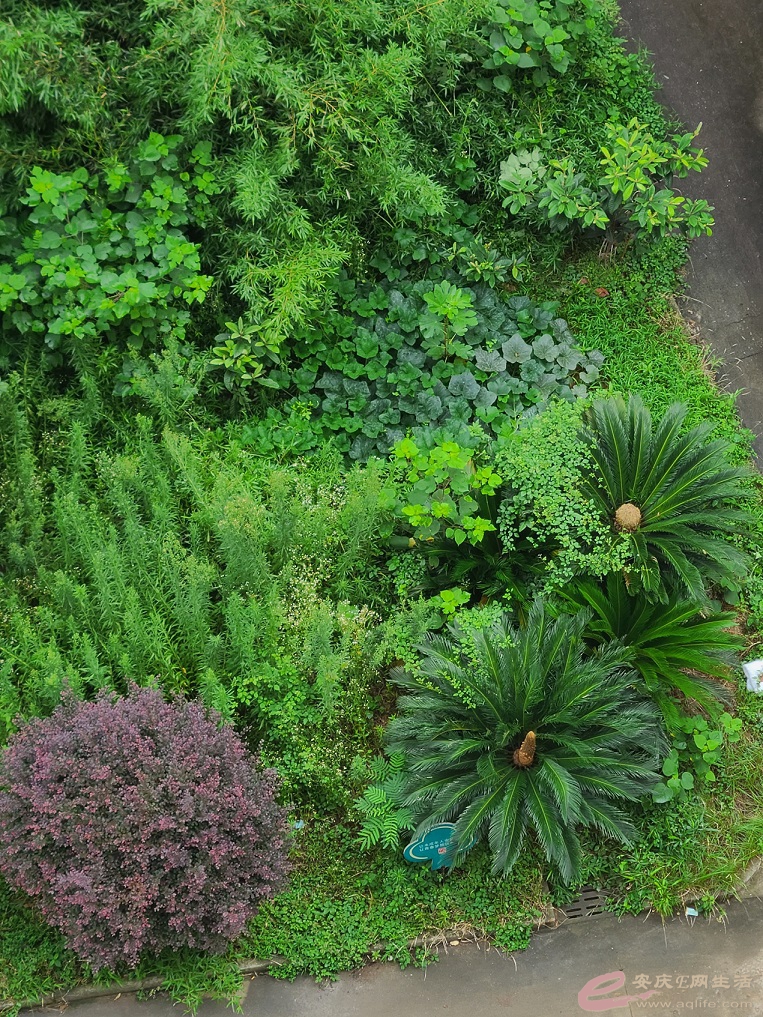 20210710_100506.jpg