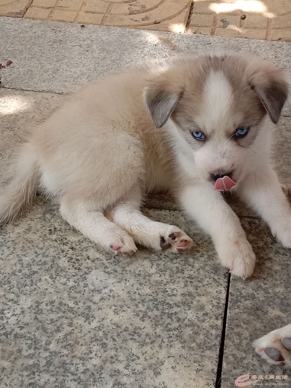 QQͼƬ20210720214440.jpg