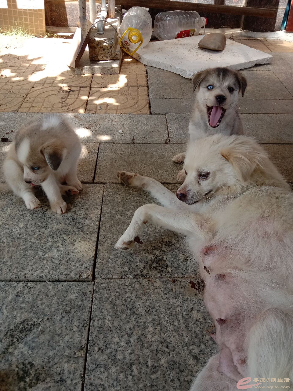 QQͼƬ20210720214452.jpg