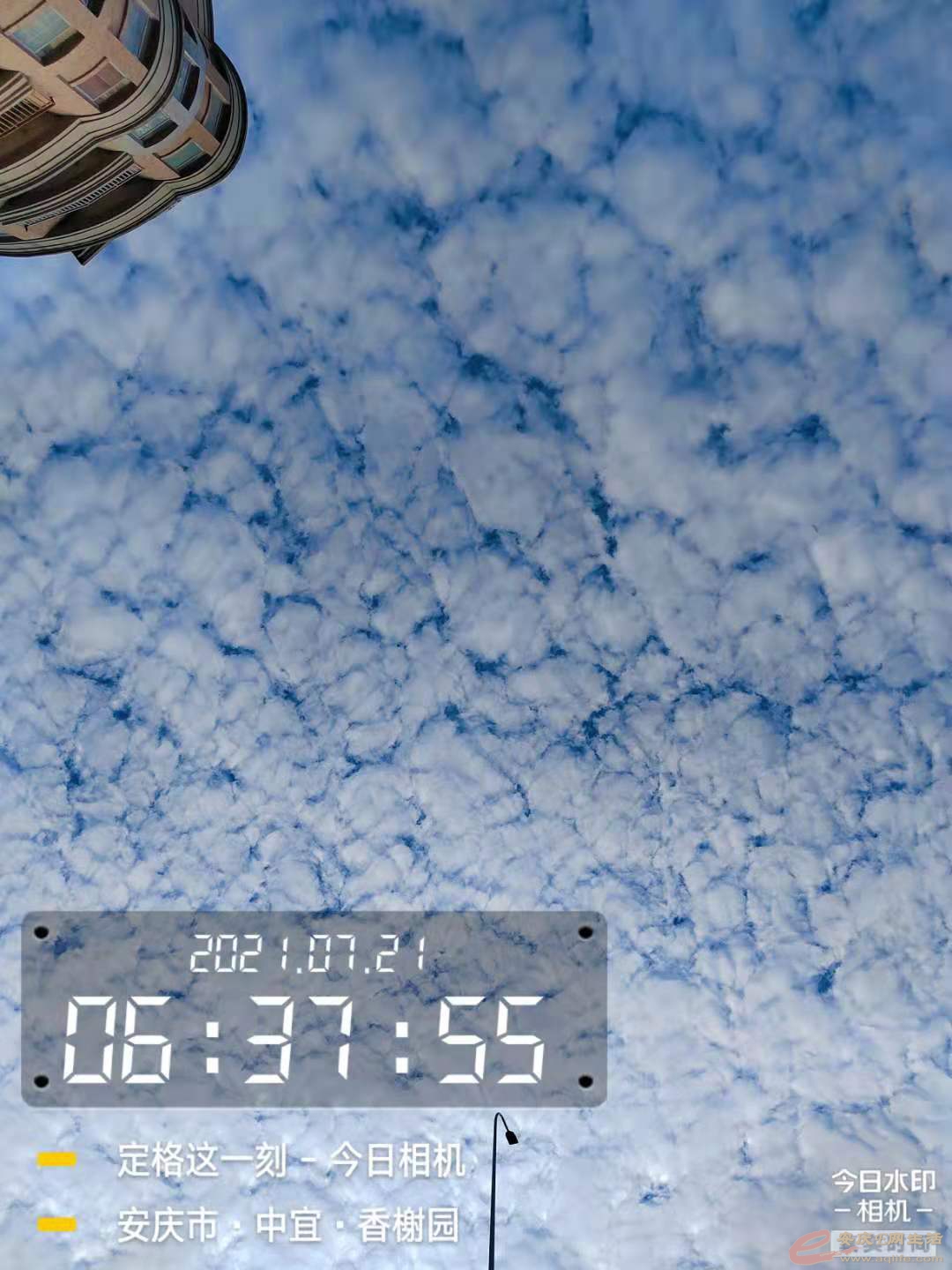 41.jpg