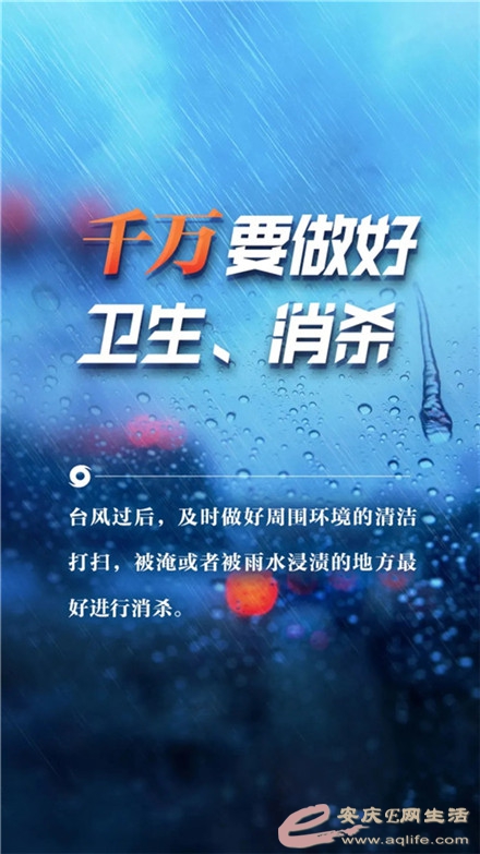 640.webp (10).jpg