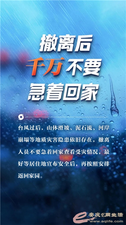 640.webp (11).jpg