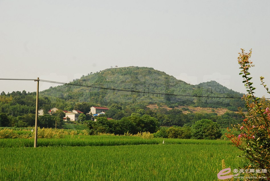 DSC_0711.jpg
