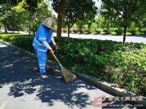 src=http://p0.itc.cn/q_70/images03/20200906/950ed8aa48d14831bdebadefac96a953.jpe.jpg