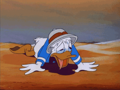 1533742745373464aa665d6.gif