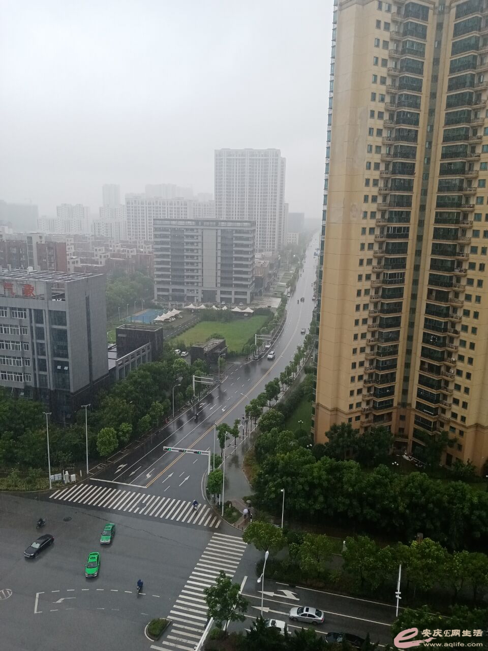 813.jpg