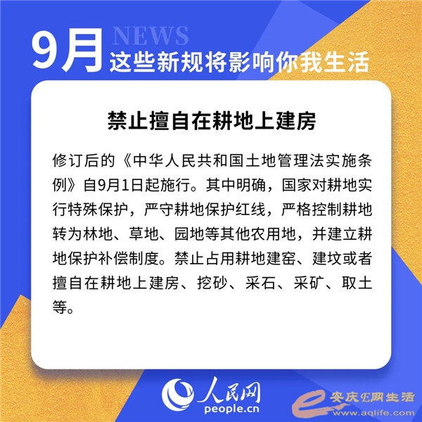 640.webp (9).jpg