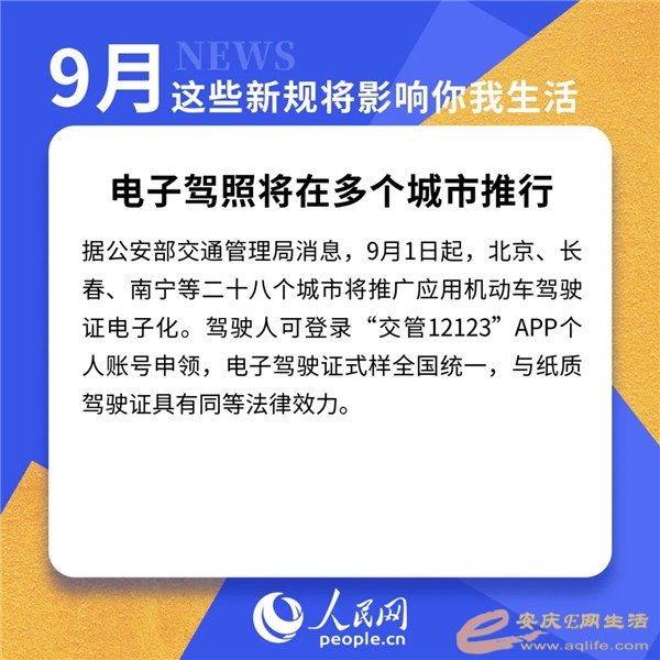 640.webp (12).jpg