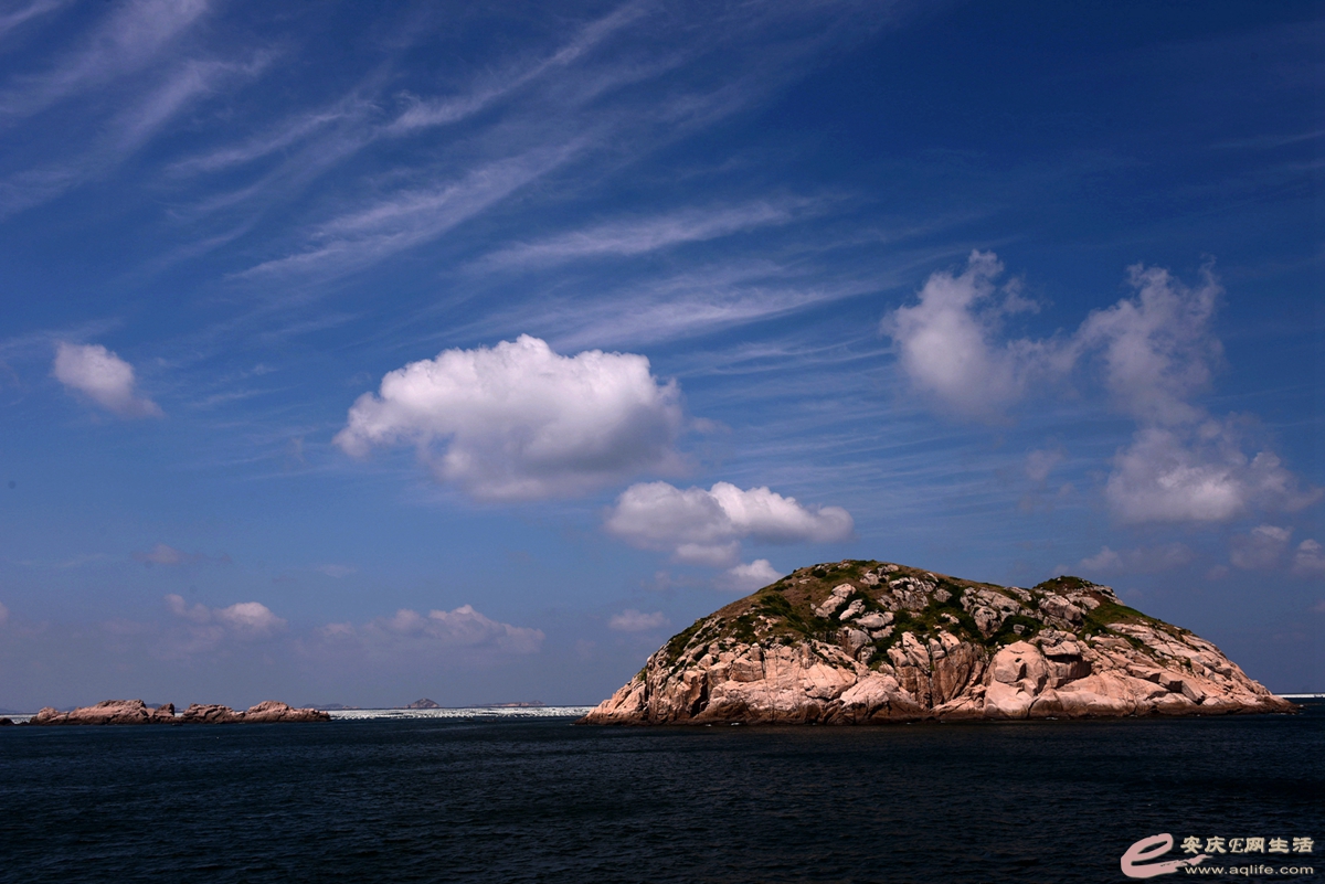 D81_8550__.jpg