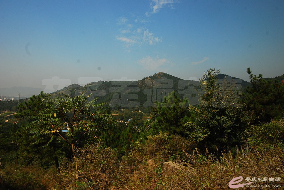 DSC_1092.jpg