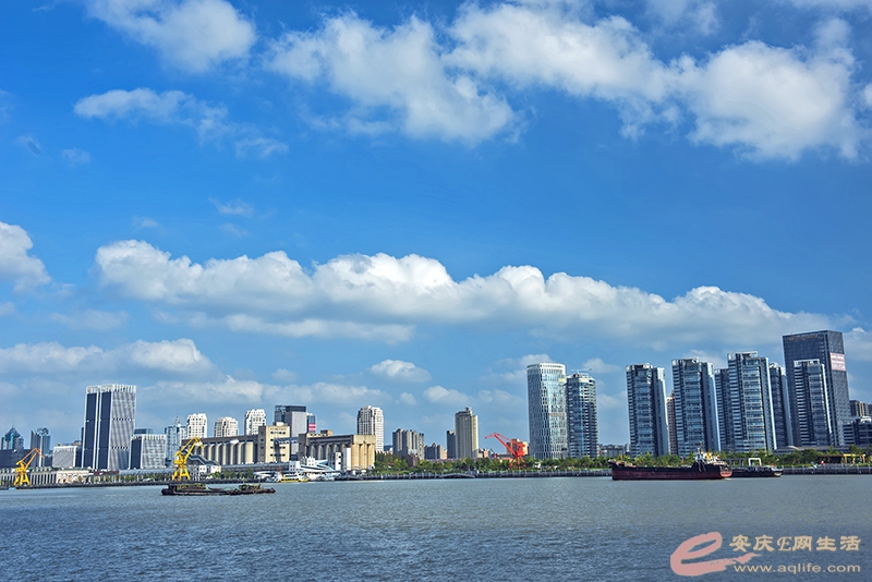 D81_3087.jpg