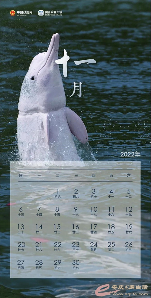 0dcaf01492b5446e9c86f1d184ac8645.jpg