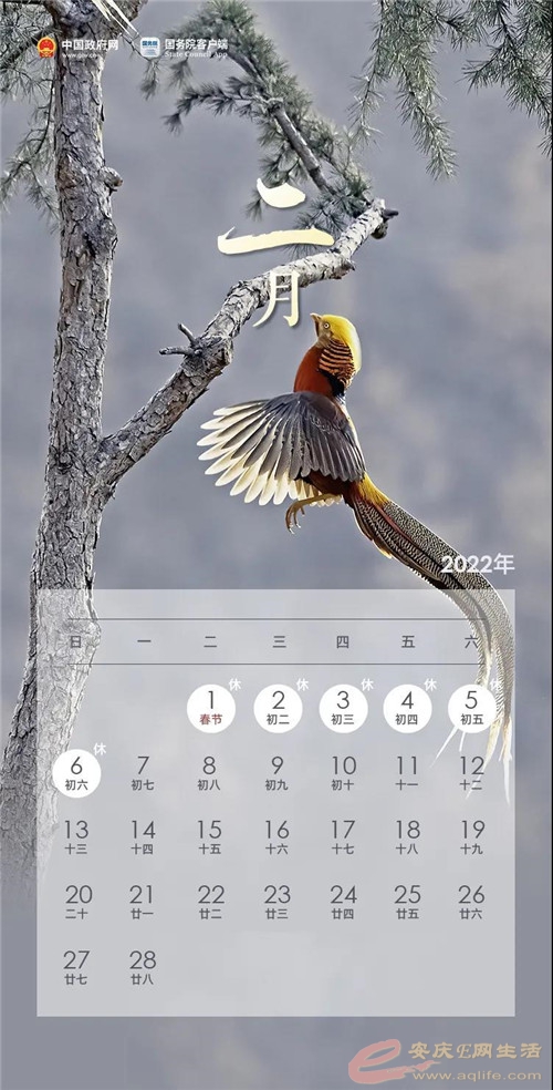 ef4e461755ff40058434c948fa99630d.jpg