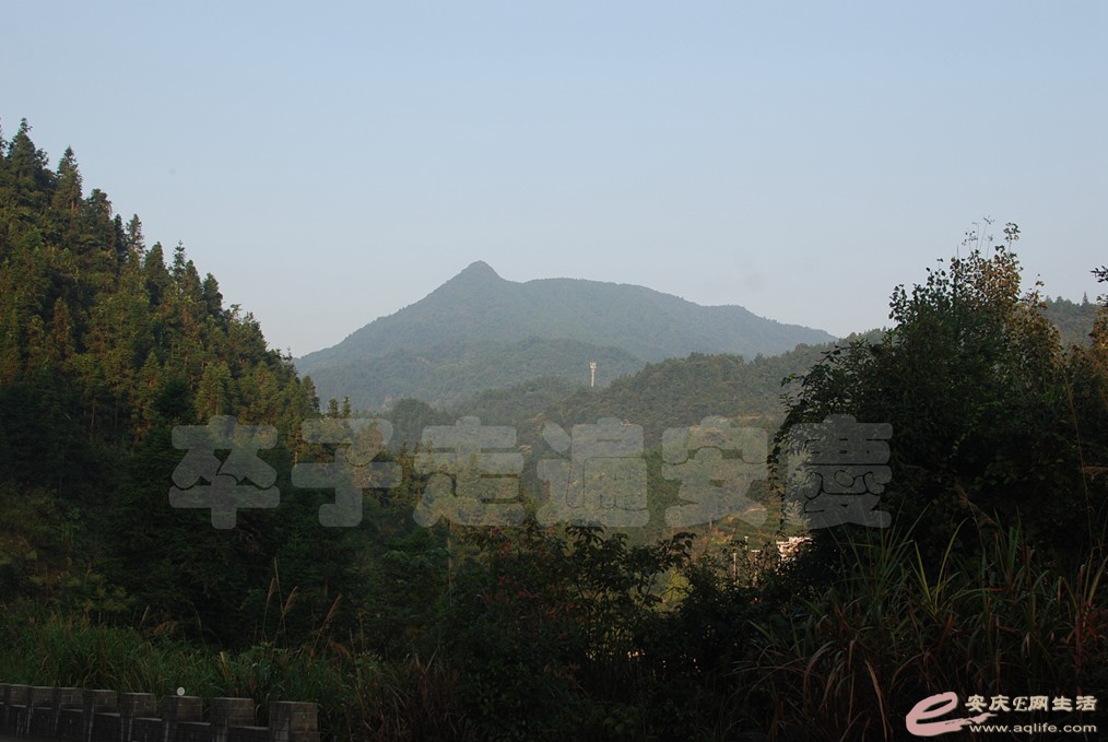 DSC_8496.jpg