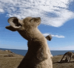 ΢ͼƬ_20211029160527.gif