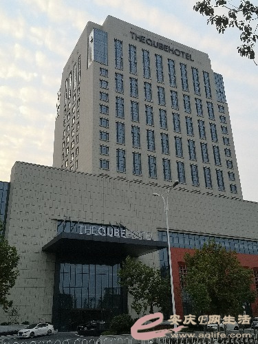 IMG_20211027_165912.jpg