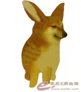 ΢ͼƬ_20211103145118.jpg