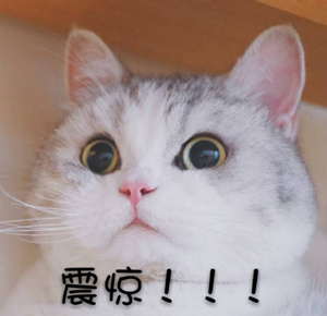 src=http://b-ssl.duitang.com/uploads/item/201710/29/20171029011903_eUXNk.thumb.7.jpg